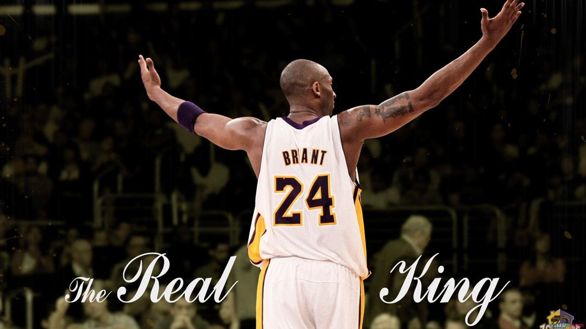 雷速体育下载-切特·霍姆格伦，当独角兽撕碎骑士的铁幕，篮球的未来已提前降临